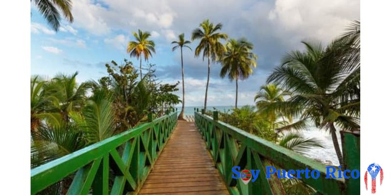 mejores agencias de viajes en puerto rico